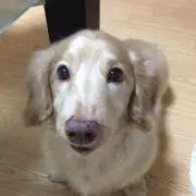 n@o