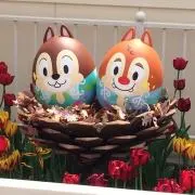 ぽんかん〜プロフィール確認お願いします〜の画像