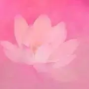 sasara@プロフご覧下さい。