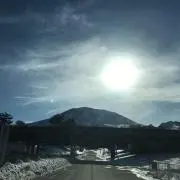 にょんの画像