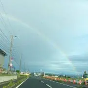 Kikuchaiの画像