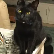 nishi.の画像