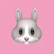 うさ@24時間以内発送の画像
