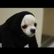 ヒデキ
