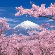 yamakawaの画像
