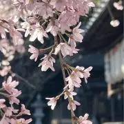 ゆるり断捨離の画像
