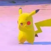ぴのこの画像