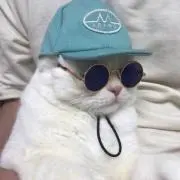 キムチの画像