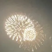 あるぱか丸の画像