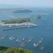 にゃおの画像
