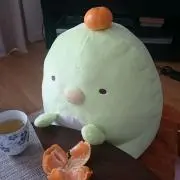 しいたけ