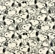 snopixの画像