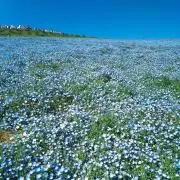８７０の画像