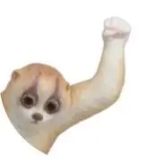 Tanukiti