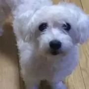 なっち