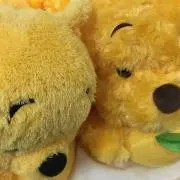 あかさの画像