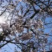 えりた