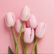 ❤︎❤︎❤︎❤︎❤︎❤︎の画像