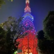 絹子の画像