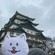 kurei※色々グッズ整理中の画像