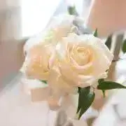 めっちゃの画像