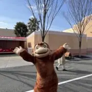 みみみの画像