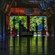 Masa-道