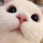 ^-^の画像