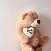 テディの画像