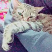 とぅーの画像