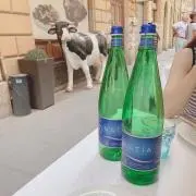 アイコの画像