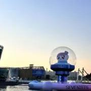 soy  即購入、まとめ買い可⭕️の画像