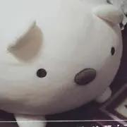 ひろこの画像