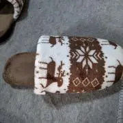 とらの画像