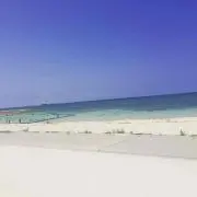 Shu