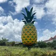 ＊自己紹介読んでね＊の画像
