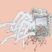 ぱらの画像
