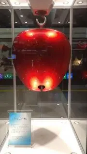 ローの画像