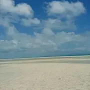 マックス⭐6/13～6/15発送はお休みの画像
