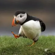 たけはる