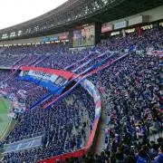 tacopeeの画像