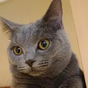 うさまろの画像