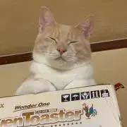 にゃんまるの画像
