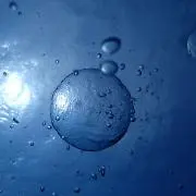 R.sの画像