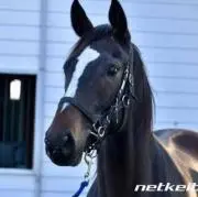 タキの画像