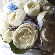 so&iromamの画像