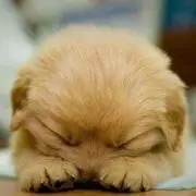 ♡H♡R♡プロフ必読‼︎(^_^*)