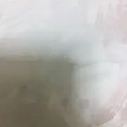 アカシアの画像
