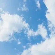 ろぶすたーの画像