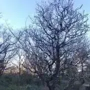 けにお　プロフ必読の画像